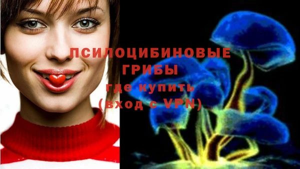 ПСИЛОЦИБИНОВЫЕ ГРИБЫ Покровск