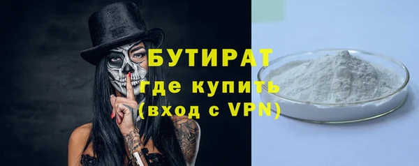 индика Зеленодольск