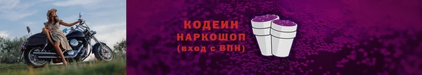 индика Зеленодольск