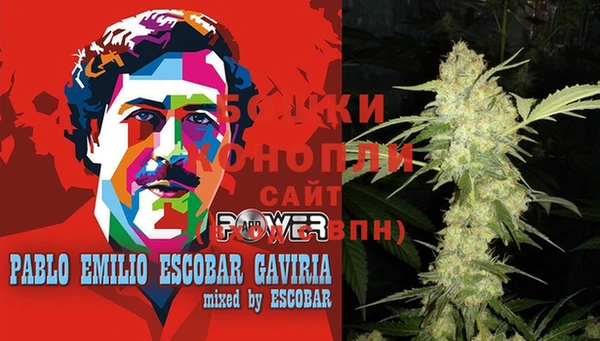 индика Зеленодольск