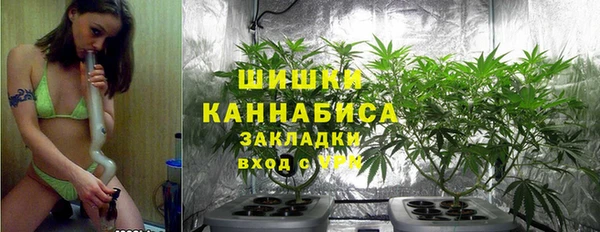 ПСИЛОЦИБИНОВЫЕ ГРИБЫ Покровск