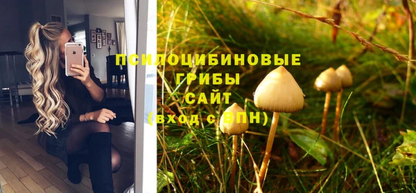 винт Покачи