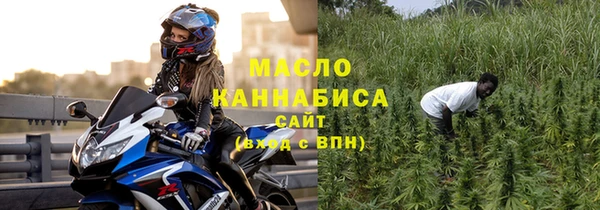 индика Зеленодольск