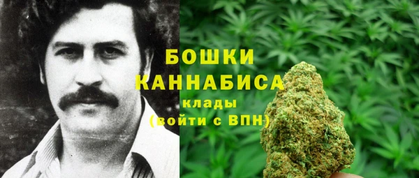 индика Зеленодольск
