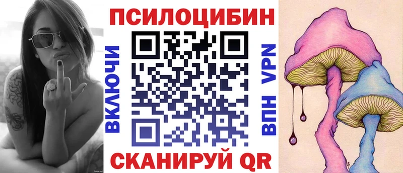 Псилоцибиновые грибы мухоморы  купить наркотик  Солнечногорск 