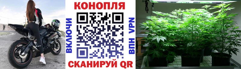 гидра маркетплейс Солнечногорск Бошки Шишки White Widow