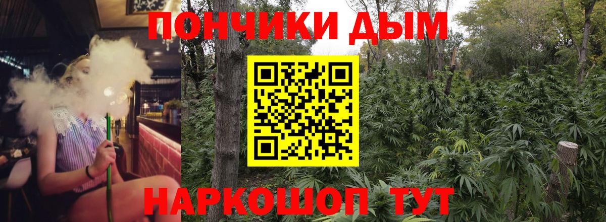 Канабис конопля  Бошки марихуана планчик  Солнечногорск 